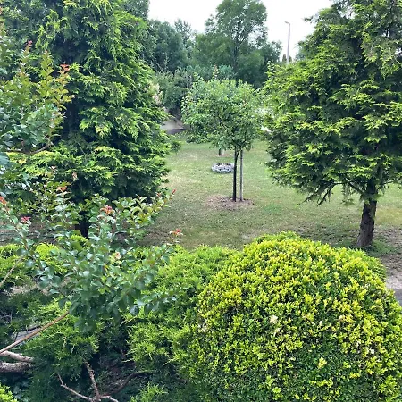 Apartament Nefelejcs *
